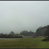 Dnes - zasa sychravo a hmla ... :-(