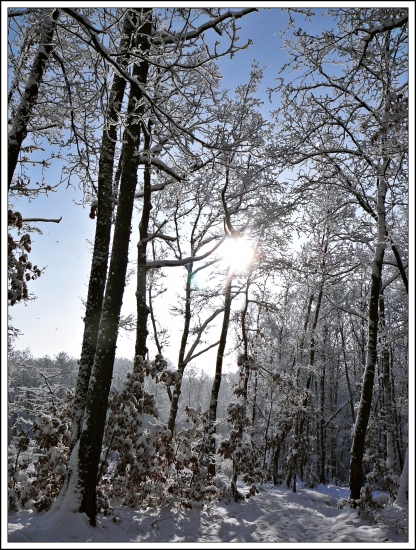 Na Vianoce jednu zasneženú ... :-)