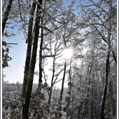 Na Vianoce jednu zasneženú ... :-)