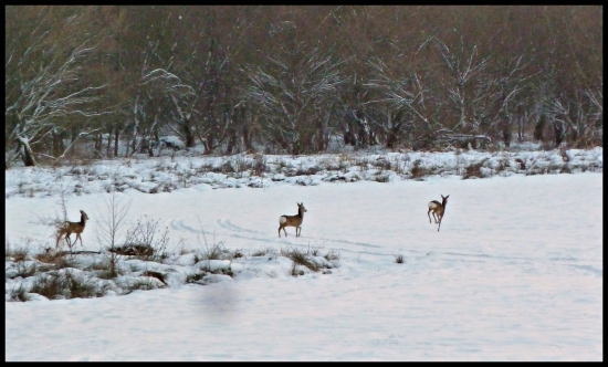 vlani, v takýto čas ...