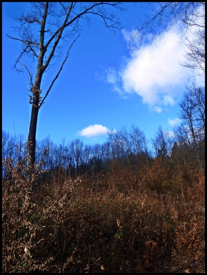 v pohone pred pásom ...