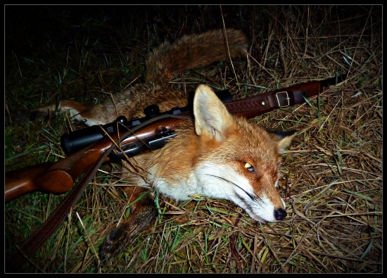 Konečne som vyduril pavúka z laufu ...