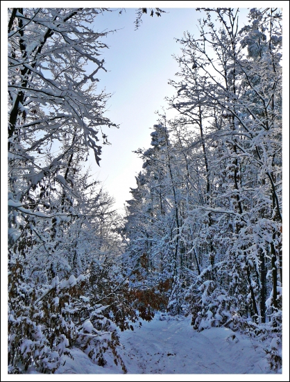 pre Perinbabu - takto dajako by to malo teraz vyzerať ...