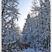 pre Perinbabu - takto dajako by to malo teraz vyzerať ...