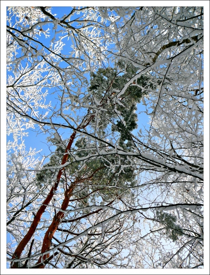 pohľad k oblohe ...