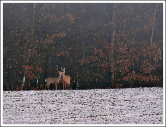 mami, dám ti pusu ... :)