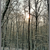 zasnežené ráno v hore ...