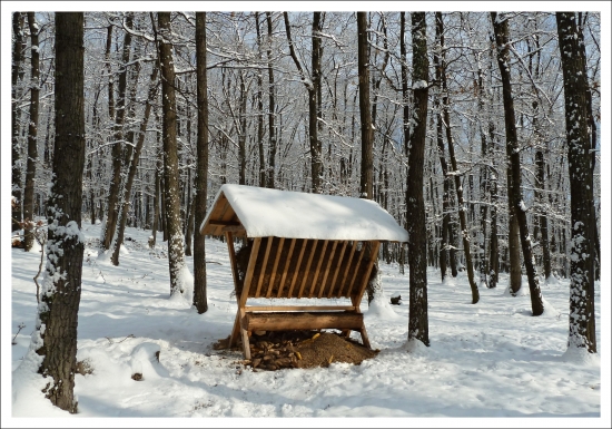 krmivo doplnené ...