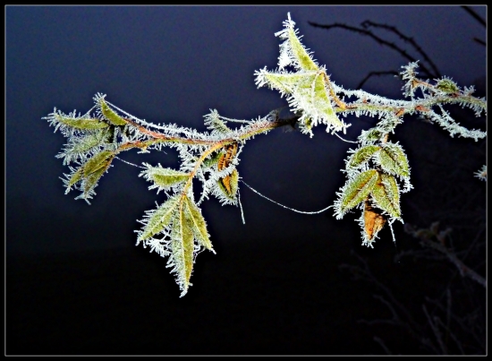 ešte jedna s námrazou ...