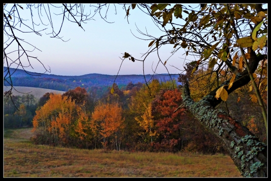 jedna farebnejšia ...