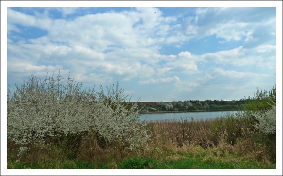 jar nad rybníkom ...