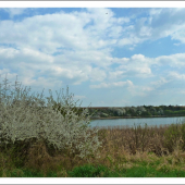 jar nad rybníkom ...