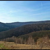 na okraji revíru ...