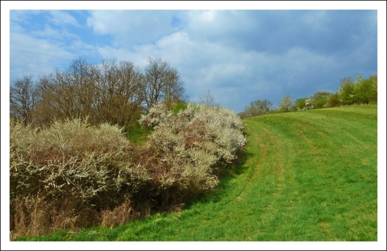v jarných farbách ...