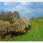 v jarných farbách ...
