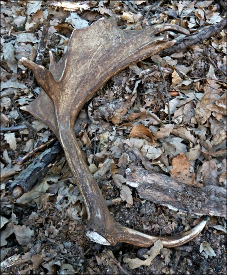 zaujímavý - 174 b.