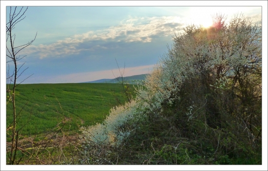 v slnečnom žiare ...