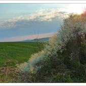 v slnečnom žiare ...
