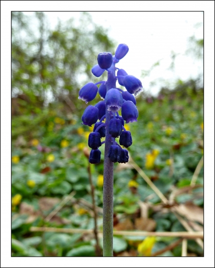 poznáte ho niekto ?