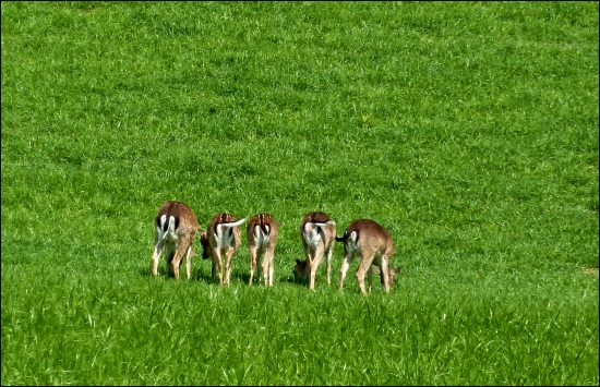Len si foť, máme ťa v ... :-)