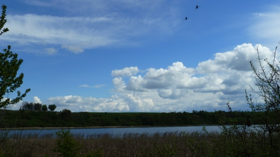 jar pri rybníku ...