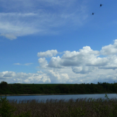 jar pri rybníku ...