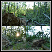 kúštik ich povyvracalo ... :(