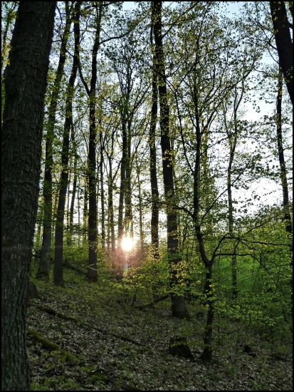 jarný podvečer v hore ...