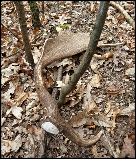 a takto si tam ležal ...