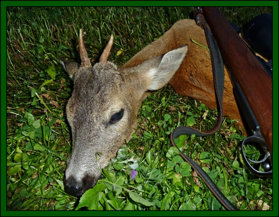 preddovolenkový ...