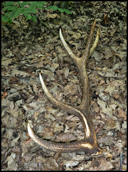 včera na hríboch - desiatnik ...