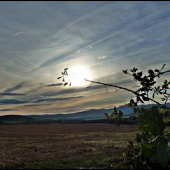 podvečer pri strnisku ...