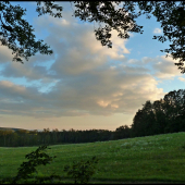pohľad z posedu ...