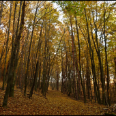za chvíľu je to tu ...