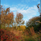 jesenná paleta farieb ...