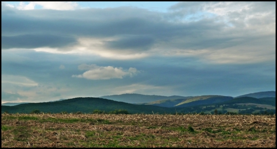 kopčeky ...