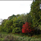 zo začiatku jesene ...