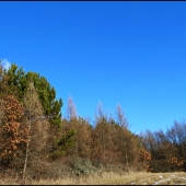 aj s trochou snehu ...