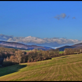 pár dní pred Vianocami - ako na jar ...