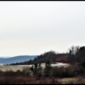 snehový poprašok ...