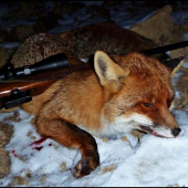 Ďalší lišiak - Trojkráľový ...