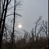 presvitá cez opar ...