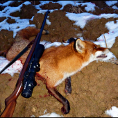 Ďalší lišiak - dva krát ma vyrobil, tretí krát nie ...