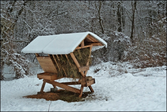 zásoby doplnené ...