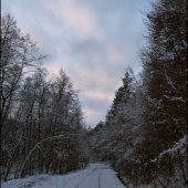 trochu nasnežilo ...