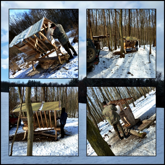 Aj prikŕmiť občas treba ...