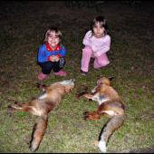 ako ten čas letí ...