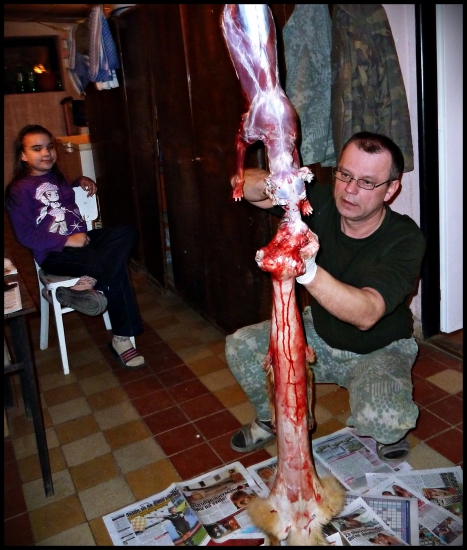 pod odborným dozorom ...:-)