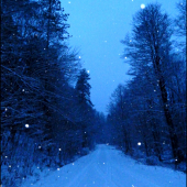 keď ráno snežilo ...