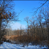 v zime pred rúbaňou ...